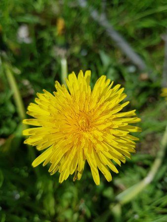 20170419_144416.jpg