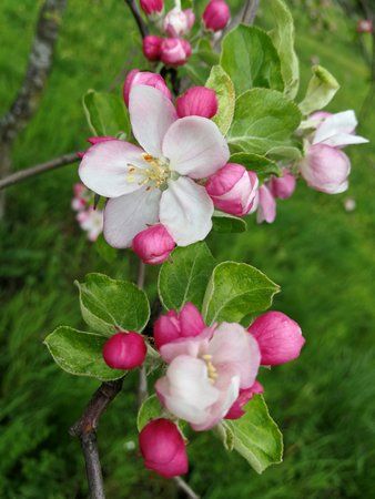 IMG_20170416_113044.jpg