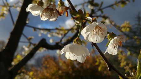 2017-04-22 18.48.46.jpg