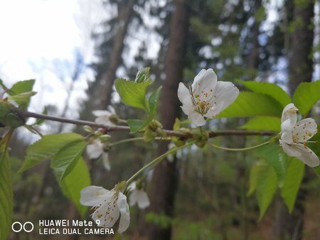 IMG-20170423-WA0039.jpg