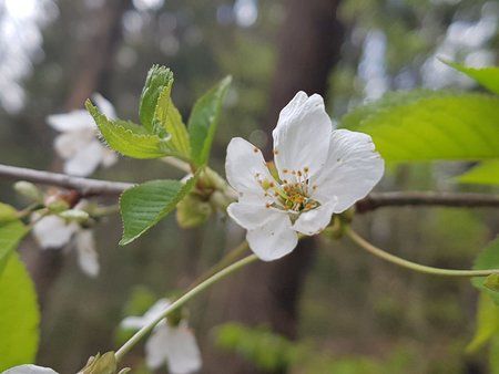 IMG-20170423-WA0001.jpg