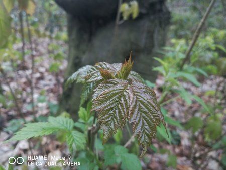 IMG-20170423-WA0029.jpg