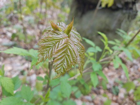 IMG-20170423-WA0014.jpg