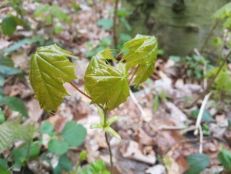 IMG-20170423-WA0013.jpg