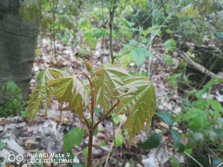 IMG-20170423-WA0023.jpg