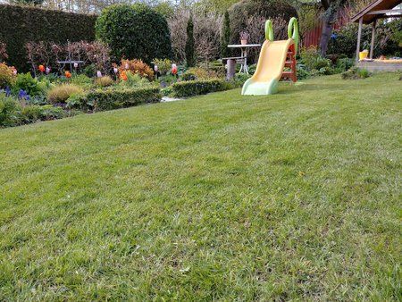 2017-04-23 16.46.46.jpg