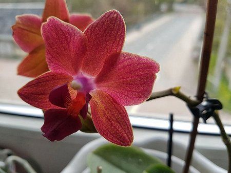 IMG-20170425-WA0001-01-01.jpeg