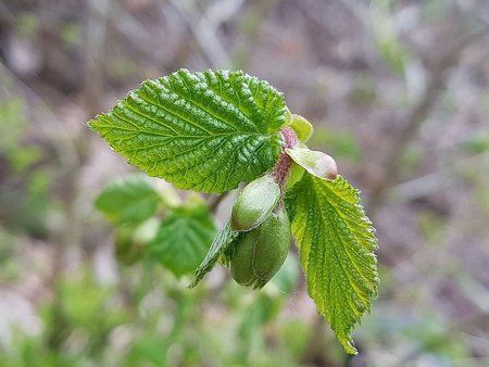 IMG-20170425-WA0005-01.jpeg