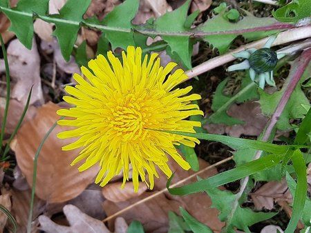 IMG-20170425-WA0006-01.jpeg