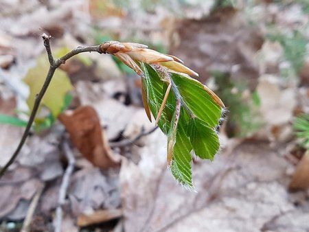 IMG-20170425-WA0008-01.jpeg