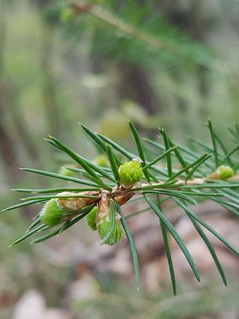 IMG-20170425-WA0011-01.jpeg