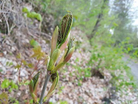 IMG-20170425-WA0014-01.jpeg