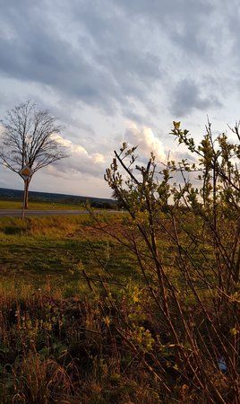 20170425_201352.jpg