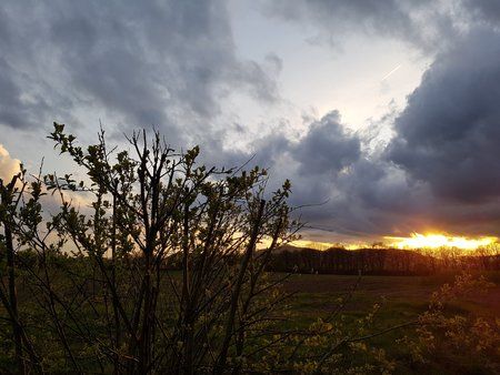 20170425_201453.jpg