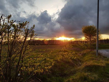 20170425_201443.jpg