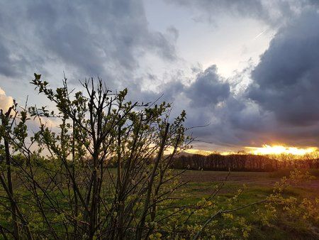 20170425_201457.jpg