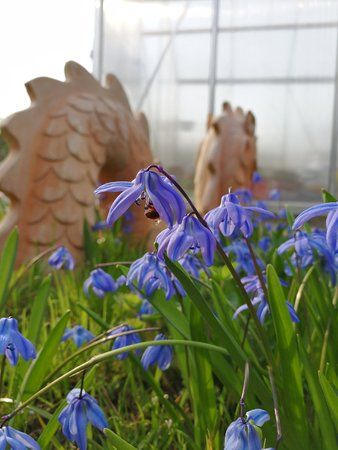 IMG_20170401_165530.jpg