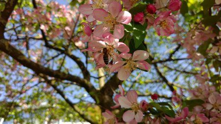 IMG_20170430_144811.jpg