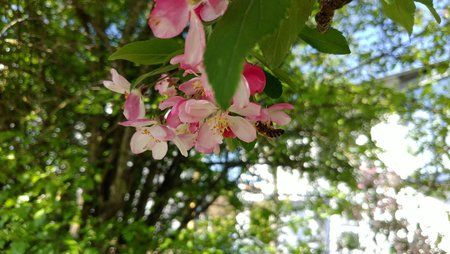 IMG_20170430_144839.jpg