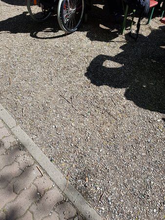 20170430_150200.jpg