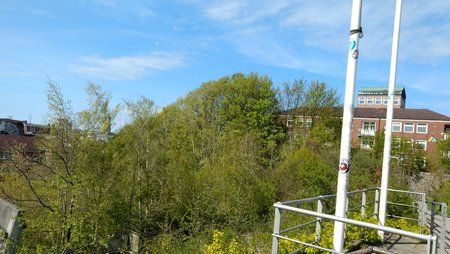 IMG_20170503_154140407.jpg
