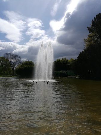 IMG_20170423_115136.jpg