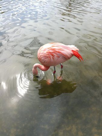 IMG_20170423_115942.jpg