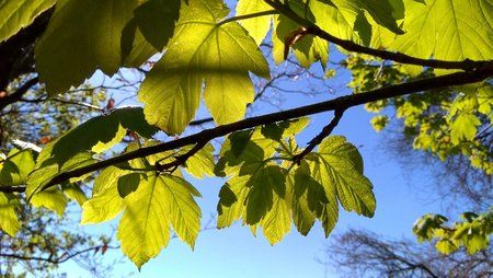 IMG_20170430_155512_HDR.jpg