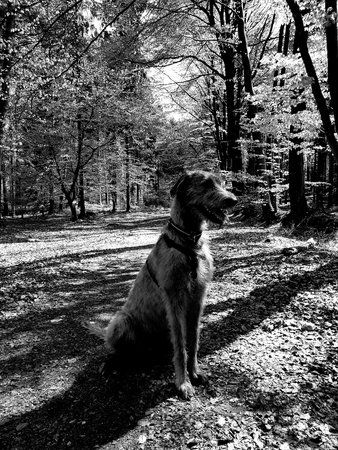 20170509_112829.jpg