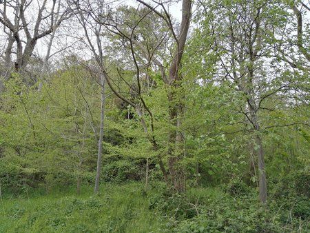 IMG_20170509_185720.jpg