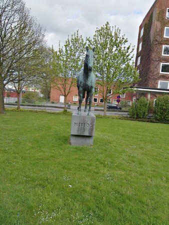 IMG_20170509_184811.jpg