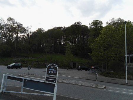 IMG_20170509_185534.jpg