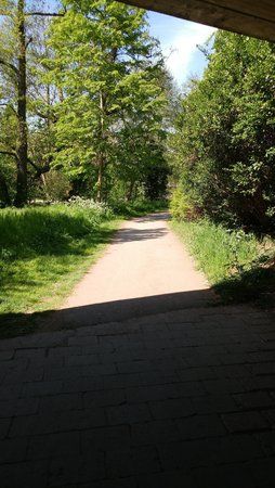 20170424_114237_HDR.jpg