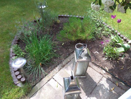 IMG_20170510_115713.jpg