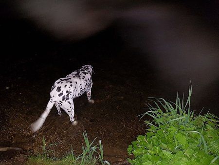 IMG-20170510-WA0000-01.jpeg