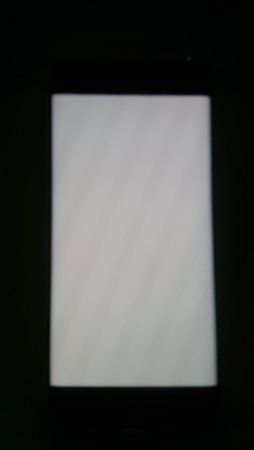 20170511_163135.jpg