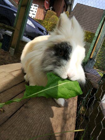 2017-05-07 15.39.43.jpg