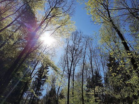IMG-20170513-WA0007-01.jpeg