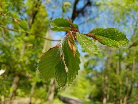 IMG-20170513-WA0015-01.jpeg