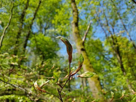 IMG-20170513-WA0016-01.jpeg