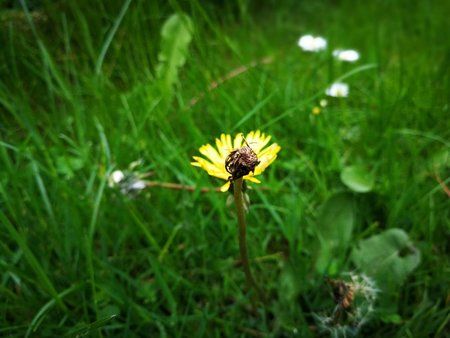 IMG_20170514_160612.jpg