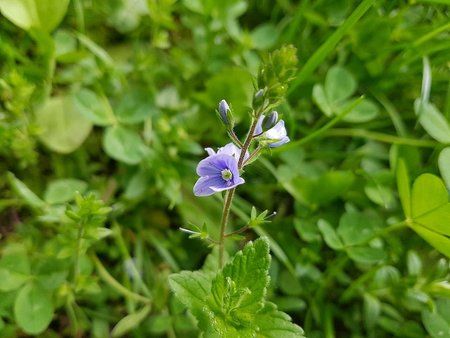 IMG-20170516-WA0001-01.jpeg