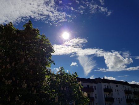 2017-05-14 16.58.41.jpg