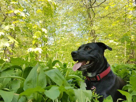 20170511_155232.jpg