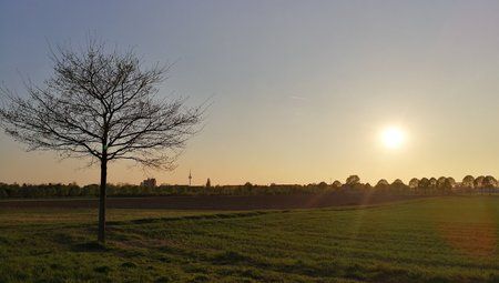 IMG_20170409_192022.jpg