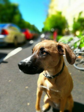 IMG_20170521_104839.jpg