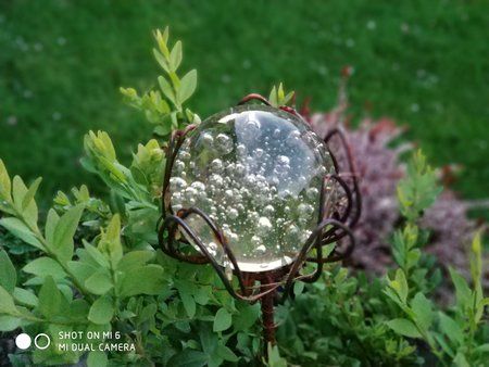 IMG_20170510_211701.jpg