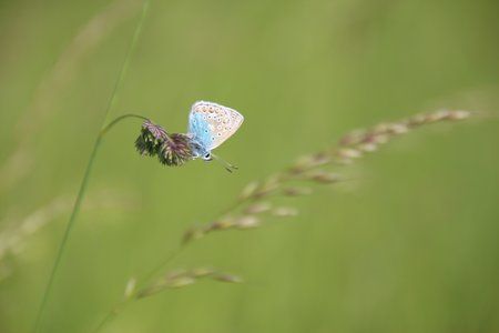 IMG_6636.JPG