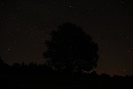 IMG_6789.JPG
