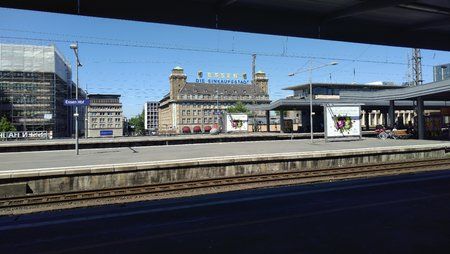 IMG_20170527_151509.jpg